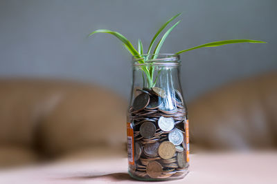 Close-up of glass vase on table