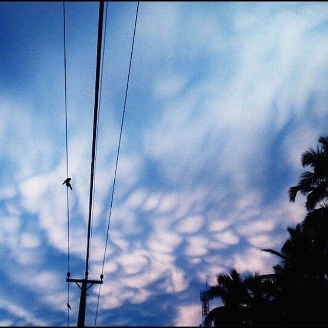 low angle view, sky, cloud - sky, power line, cloudy, silhouette, cloud, tree, street light, electricity, cable, electricity pylon, nature, power supply, connection, blue, beauty in nature, dusk, no people, tranquility