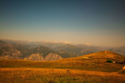 Scenic view of field against clear sky