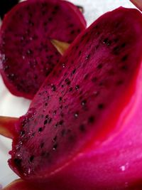 Close-up of pink fruit
