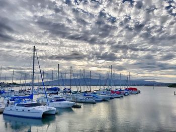 Sailboats moored on harbor against sky