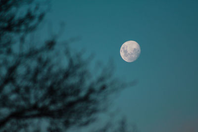 Scenic view of moon against sky at night