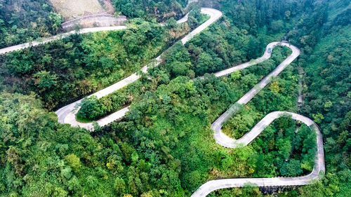 High angle view of road amidst trees in forest