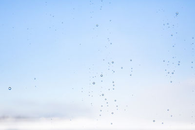 Close-up of water drops against clear blue sky