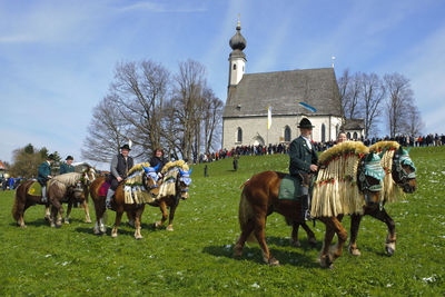 Group of horses on the wall