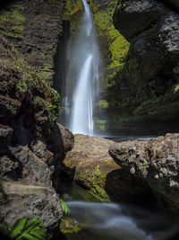 Scenic view of waterfall in forest