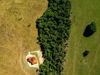 High angle view of dog on landscape