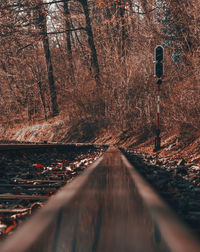 Rear view of man walking on railroad track