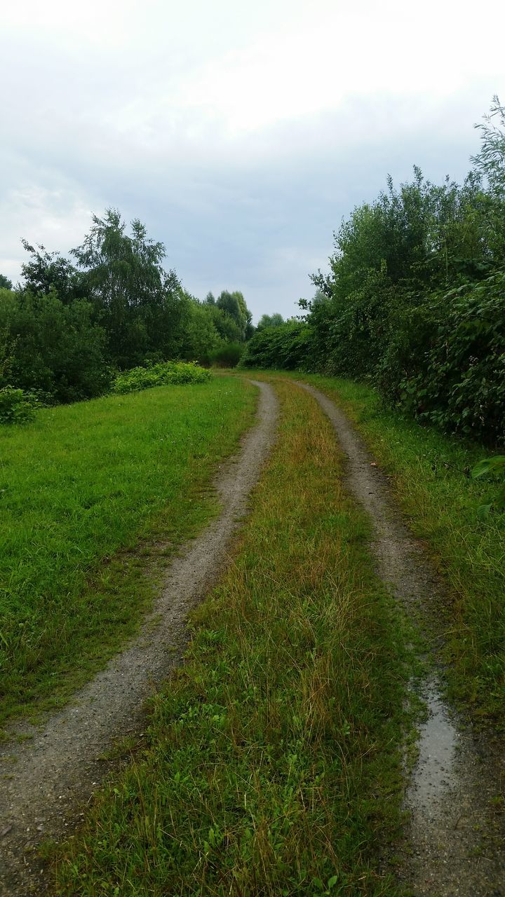 grass, tree, green color, tranquil scene, tranquility, sky, landscape, growth, nature, scenics, the way forward, plant, beauty in nature, green, field, non-urban scene, remote, solitude, curve, day, outdoors, narrow, grassy, cloud - sky, footpath, diminishing perspective, rural scene, long, empty road, no people, garden, countryside