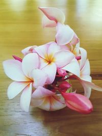 Close-up of pink flowers on table