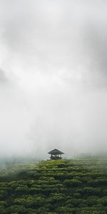 Scenic view of tea plantation against cloudy sky