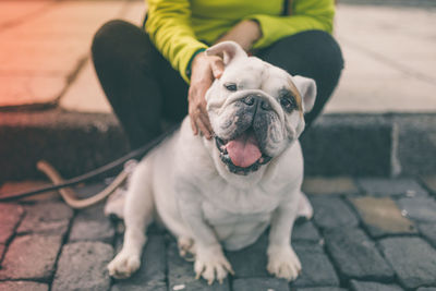 Low section of woman with dog sitting on footpath