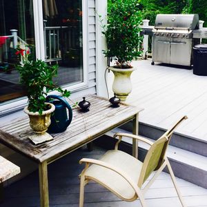 Empty chairs and potted plant