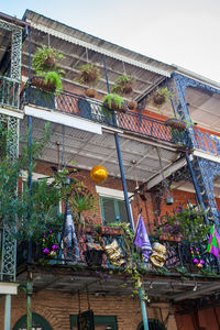 Low angle view of potted plants against building
