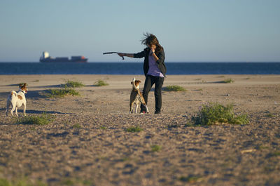 Woman playing with dogs at beach against blue sky