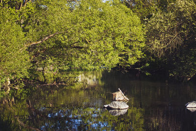 View of birds in lake