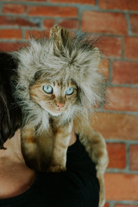 Cropped image of woman carrying cat against brick wall