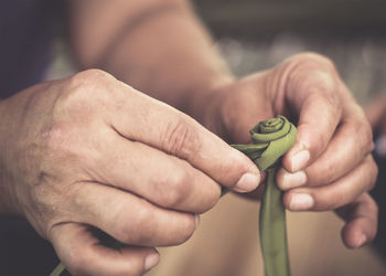 Cropped hands of person holding palm leaf