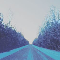 Empty road along trees