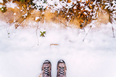 Low section of person on snow covered plants