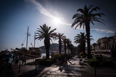 Palm trees on street in city against sky