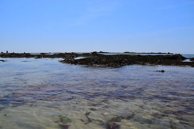 Scenic view of sea against clear blue sky