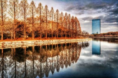 Reflection of trees in water