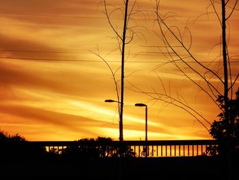 Low angle view of silhouette plants against orange sky