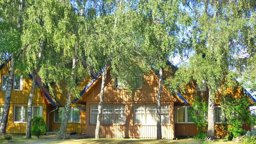 Panoramic view of trees against sky