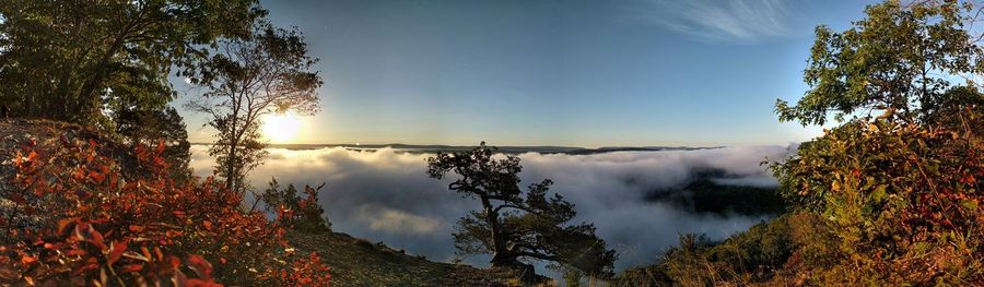 Panoramic view of trees against sky during autumn