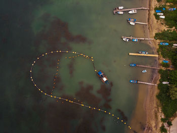 High angle view of people flying over trees