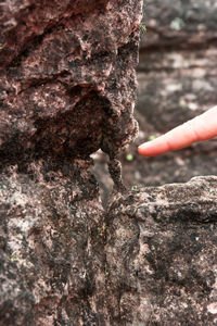 Close-up of hand holding leaf