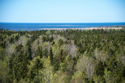 Scenic view of sea against clear blue sky