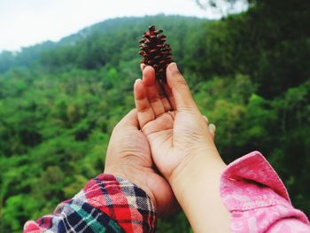 Close-up of hand holding plant