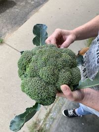 High angle view of man holding ice cream