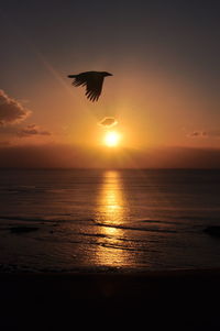 Silhouette bird flying over sea against sunset sky