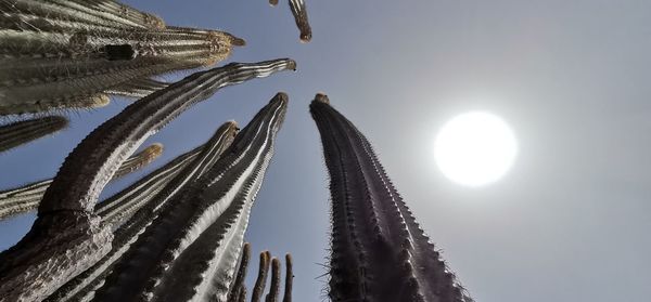 Low angle view of hand holding umbrella against sky