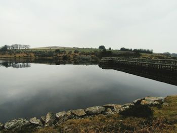 Reflection of trees in water