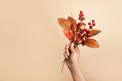 Cropped hand of woman holding plant against pink background