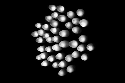 Directly above shot of eggs on black background