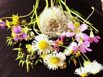 Close-up of flowers growing in plant