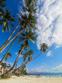 Palm trees on beach against sky