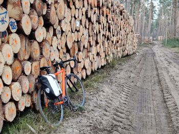 Stack of firewood