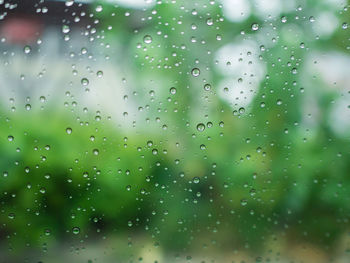 Raindrops on glass window