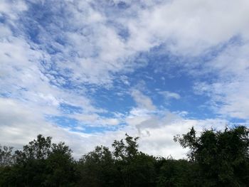 Low angle view of trees against sky