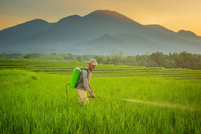 View of farmers spraying in the morning with a beautiful sunrise