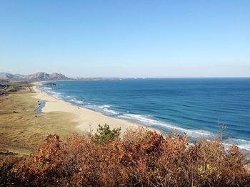 Scenic view of beach against clear sky