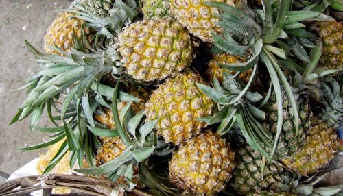 Close-up of fruits at market