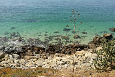 High angle view of rocks in sea