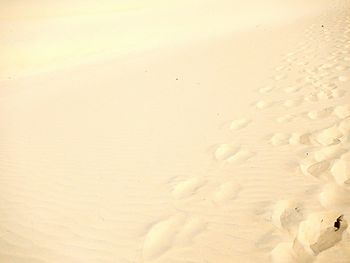 Full frame shot of sand